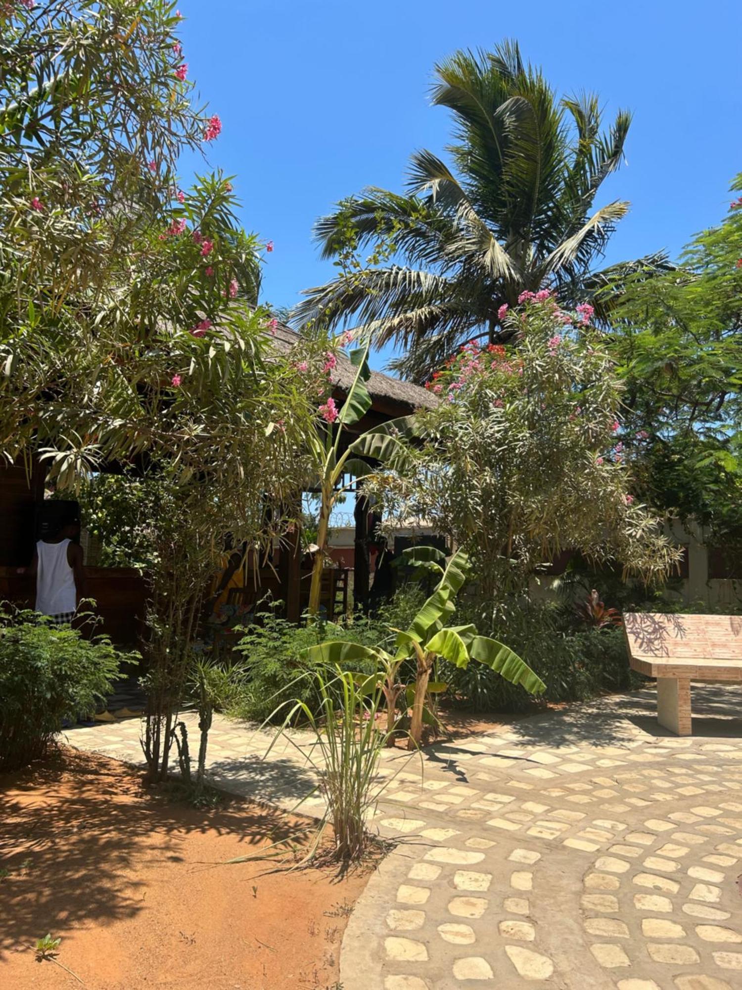 Bohobe Naboty Bed and Breakfast Toliara Eksteriør billede